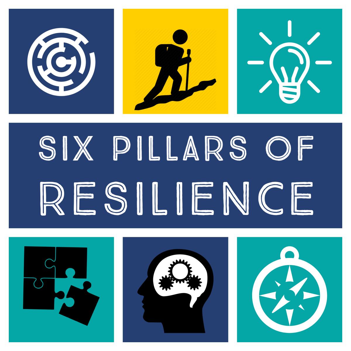 six pillars of resilience square